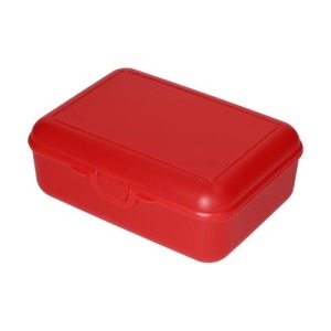 Schulbox Konservierungsbox 19x13x7cm