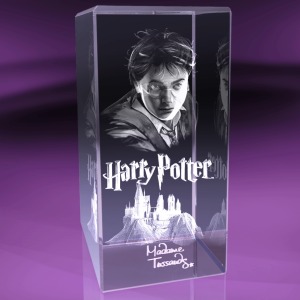 Rechteckige Trophäe 14x30cm