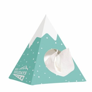 Schachtel mit 50 Pyramidentüchern