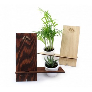 Telefonhalter aus Holz + 1 Pflanze - EICHE