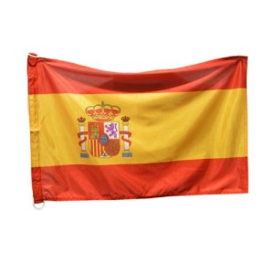 INSTITUTIONELLE FAHNEN