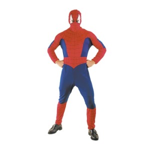 SUPERSPINNENKOSTÜM