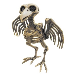 KRÄHENSKELETT