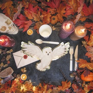 EULENTELLER ZAUBERLEHRLING 32CM X 8