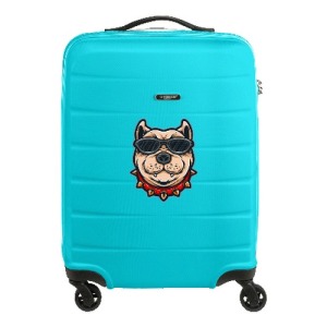 Princess Traveler Grenada Trolley Kabinengröße matte finish