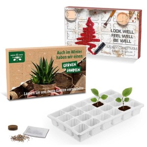Adventskalender zum Bepflanzen