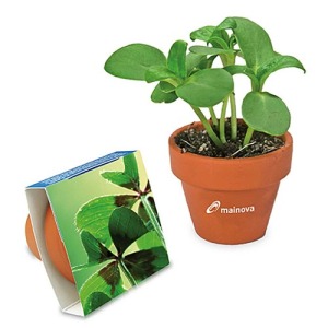 Pot en terre cuite - terre cuite - Bulbes de trèfle à 4 feuilles 