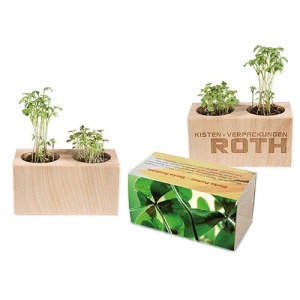 Pot bois 2 compartiments - Bulbes de trèfle à 4 feuilles 