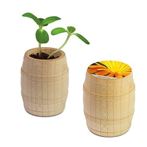 Mini-Fass aus Holz - Ringelblume