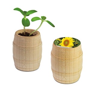 Mini-Fass aus Holz - Sonnenblume