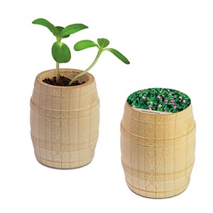 Mini-Fass aus Holz - Persisches Kleeblatt