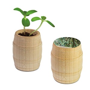 Mini-Fass aus Holz - Thymian