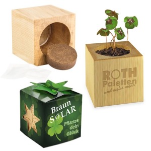 Mini-Holzwürfel mit vierblättrigem Kleeblatt in Star-Box - ohne Lasergravur
