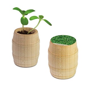 Mini-Fass aus Holz - Gartenkresse