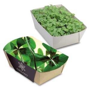 Jardinière en papier bambou - Bulbes de trèfle à 4 feuilles 