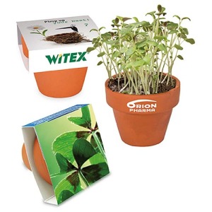 Mini pot terre cuite, fourreau chapeau - Bulbes de trèfle à 4 feuilles 