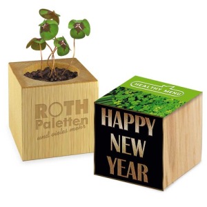 Pot cube bois Mini - Trèfle à 4 feuilles - - sans gravure laser