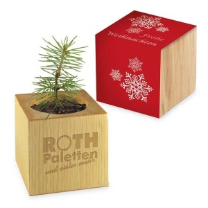 Holzwürfel Topf Schreibtisch Weihnachten - Standard Design - Fichte - ohne Lasergravur