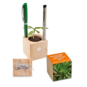 Topf Würfel Holz Schreibtisch Weihnachten - Fichte - Ficéa