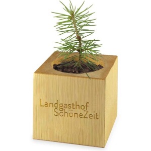 Holzwürfeltopf Maxi de Noël - Fichte - Fichte