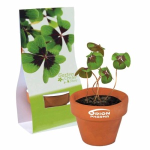 Mini-Blumentopf aus Terrakotta in Tasche - Glücksklee