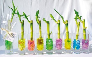 Chinesischer Rohrstock in individueller Vase