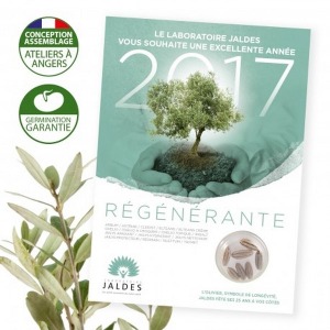 Postkarte mit Samen in Kapsel