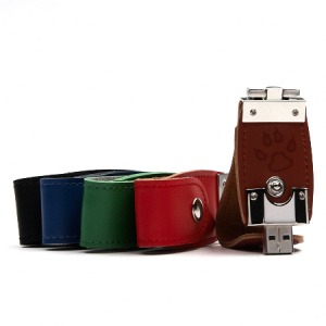 Luxus-USB-Flash-Laufwerk