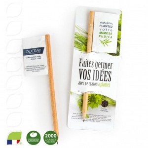 Holzstift mit Samentütchen in Flaggenform