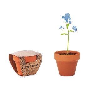 FORGET ME NOT - Topf Vergissmeinnicht-Samen