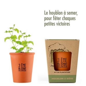 Kit "3. Halbzeit" Hopfensamen zur Aussaat