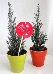 Baumsetzling im Topf Bambusfaser 10 cm - Nadelholz