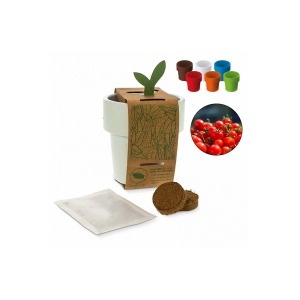 Hot-but-cool-Kaffeebecher mit Kirschtomatensamen