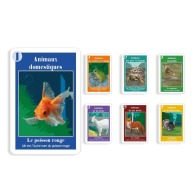 Set mit 7 maßgeschneiderten Familien
