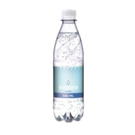 L`eau en bouteille, 500ml, gazeuse bouteille ?Budget?, Eco Label GER