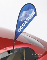 Mini-flagge für auto picture