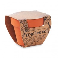 Forget me not - topf vergissmeinnicht-samen picture