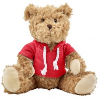 Teddybär mit kapuzenpulli picture