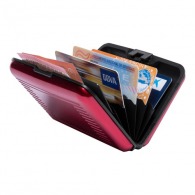 Kreditkarteninhaber Kreditkarteninhaber