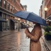 Miniaturansicht des Produkts Faltbarer Regenschirm Europäische Herstellung 5