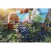 GROW Notizbuch A5 aus Recyclingpapier Geschäftsgeschenk