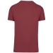 Bio150IC T-Shirt mit Rundhalsausschnitt für Männer, Klassisches T-Shirt Werbung
