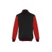 College Baseball Jacke, Bomberjacke oder Teddyjacke Werbung