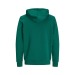Kapuzen-Sweatshirt aus Bio-Baumwolle 300g, verschiedene ökologische, recycelte, nachhaltige oder biologische Textilien Werbung