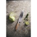 Hattasan Damascus Messer Chef Edition, Fleischmesser Werbung