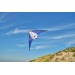 Drachen aus 210T Lirien Ripstop Polyester, Drachen Werbung