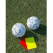 Mini-Fußball 12 Platten Geschäftsgeschenk