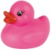 Canard magique - MBW, canard Werbung