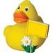 Canard voyage - MBW, canard Werbung