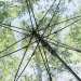 Parapluie standard - FARE, parapluie FARE Werbung